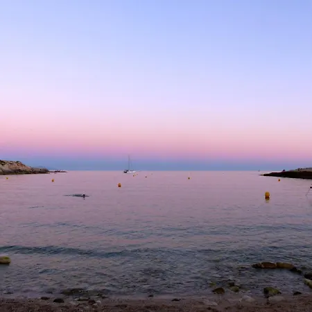 Des Joncas Martigues